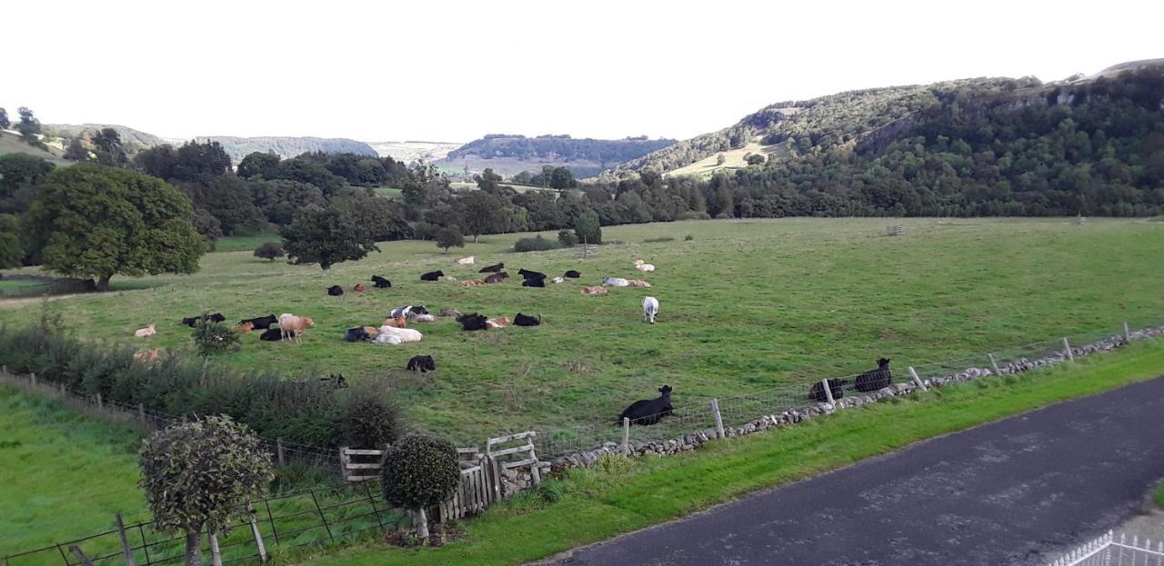 Ellerton Lodge Bed And Breakfast Swaledale Richmond  Esterno foto