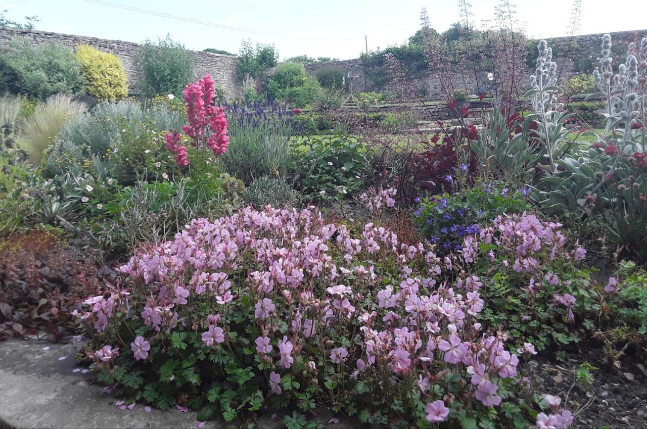 Ellerton Lodge Bed And Breakfast Swaledale Richmond  Esterno foto