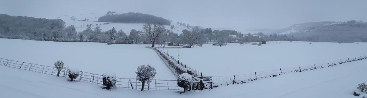 Ellerton Lodge Bed And Breakfast Swaledale Richmond  Esterno foto
