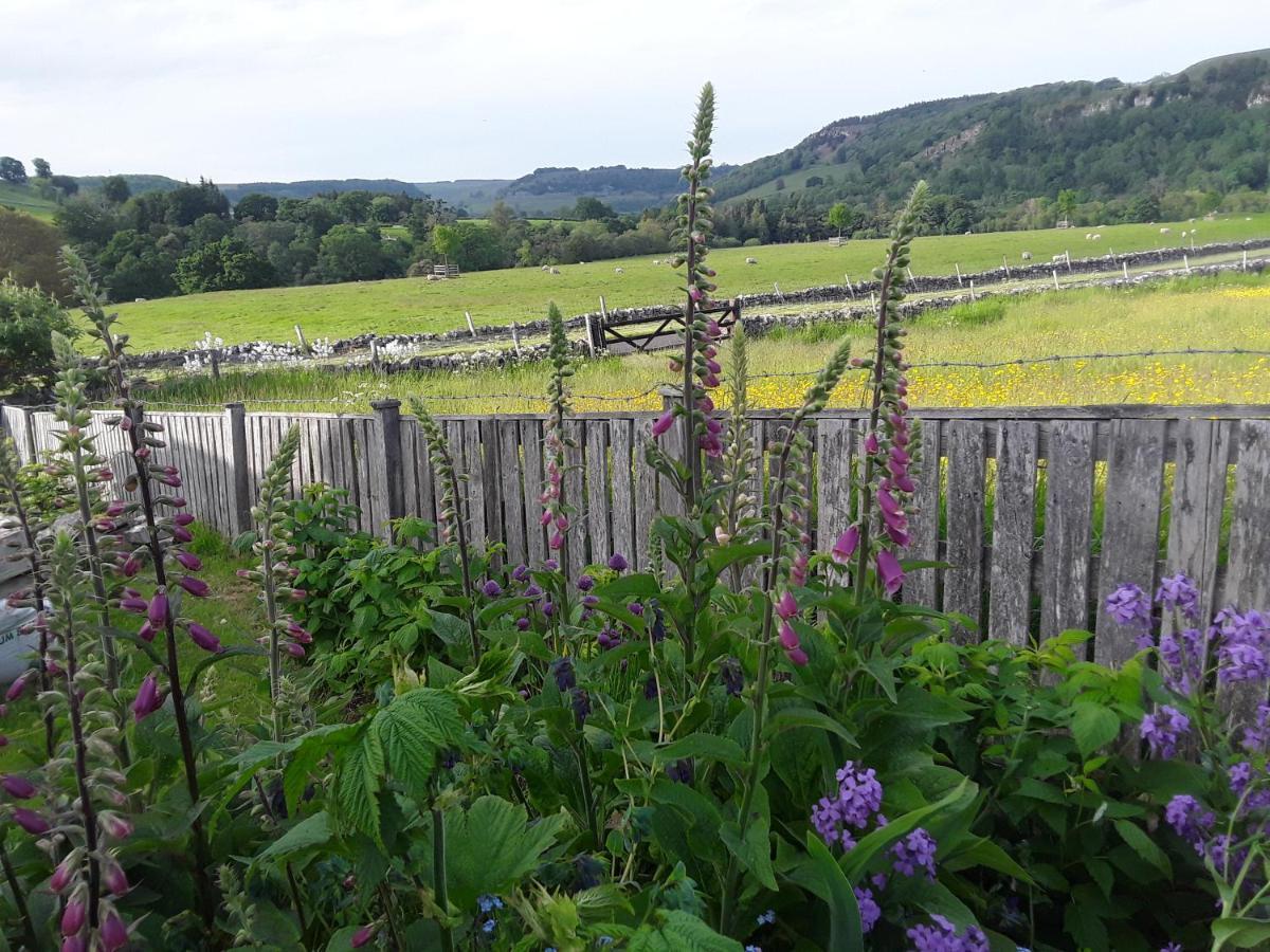 Ellerton Lodge Bed And Breakfast Swaledale Richmond  Esterno foto