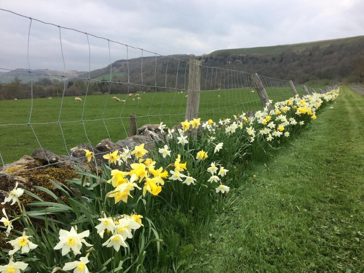 Ellerton Lodge Bed And Breakfast Swaledale Richmond  Esterno foto