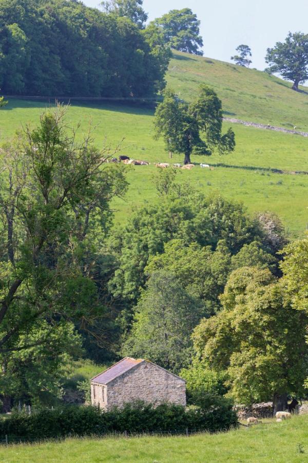 Ellerton Lodge Bed And Breakfast Swaledale Richmond  Esterno foto