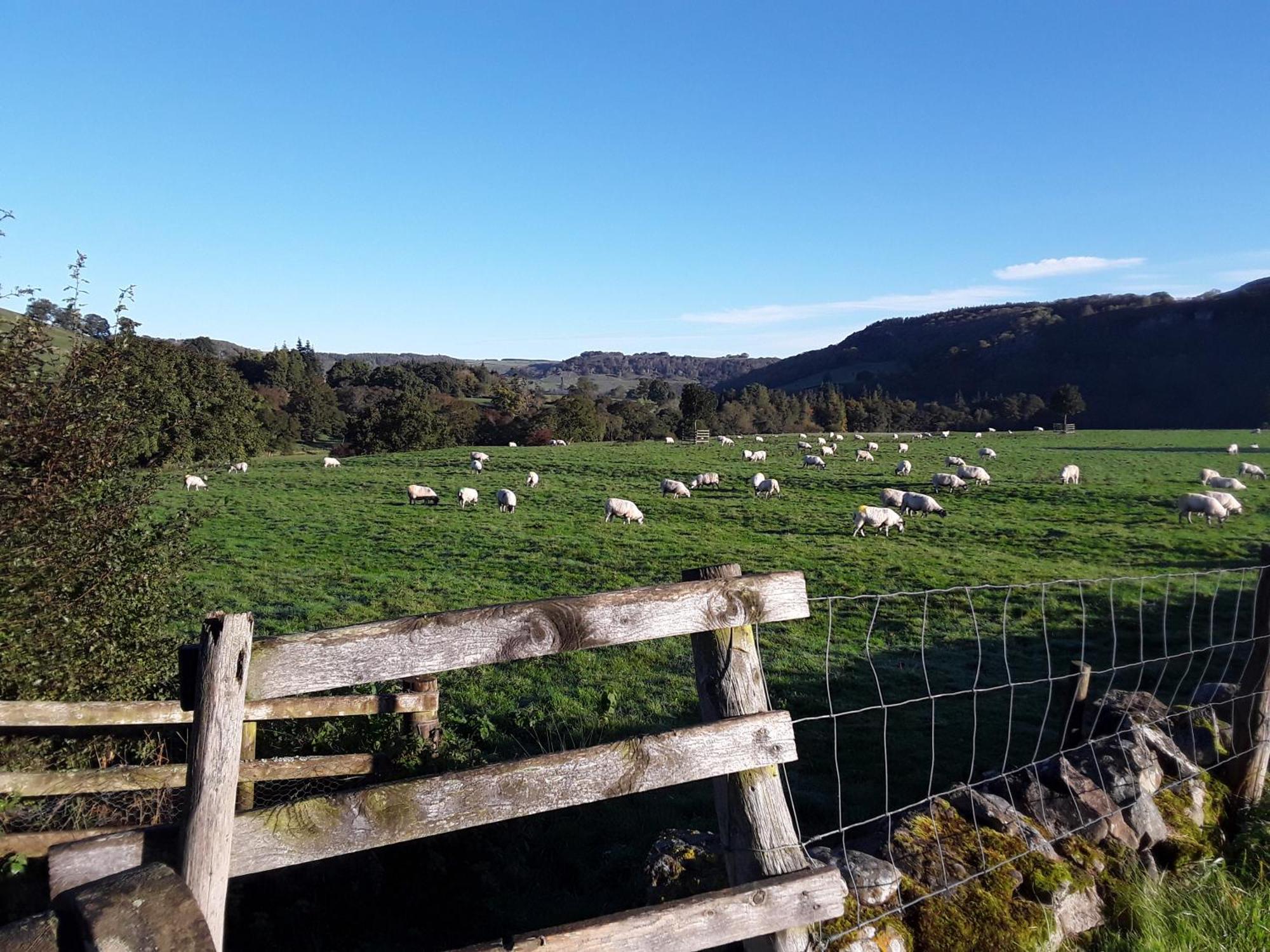 Ellerton Lodge Bed And Breakfast Swaledale Richmond  Esterno foto