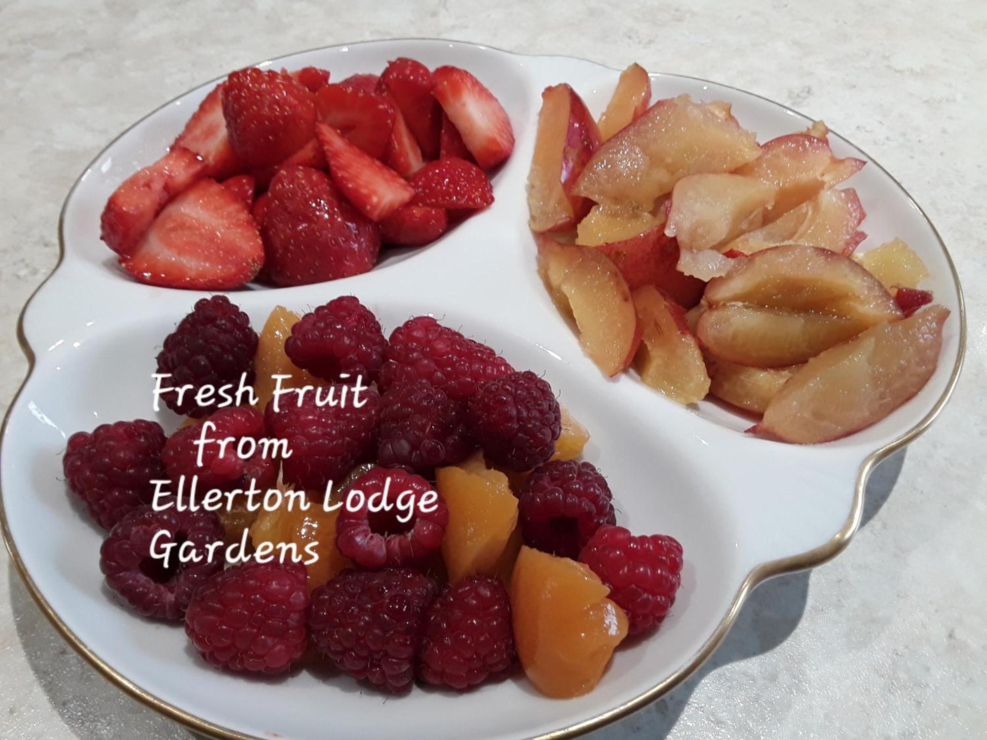 Ellerton Lodge Bed And Breakfast Swaledale Richmond  Esterno foto