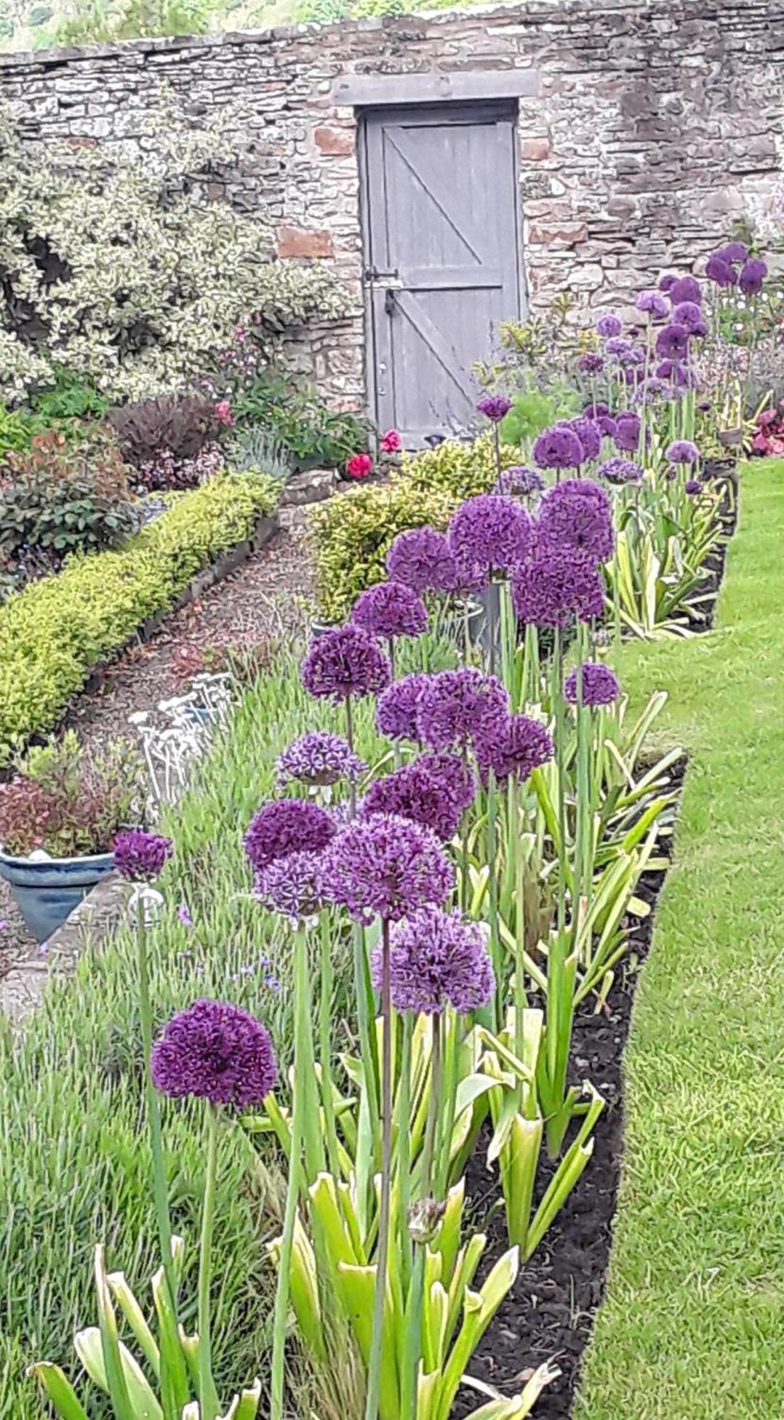 Ellerton Lodge Bed And Breakfast Swaledale Richmond  Esterno foto